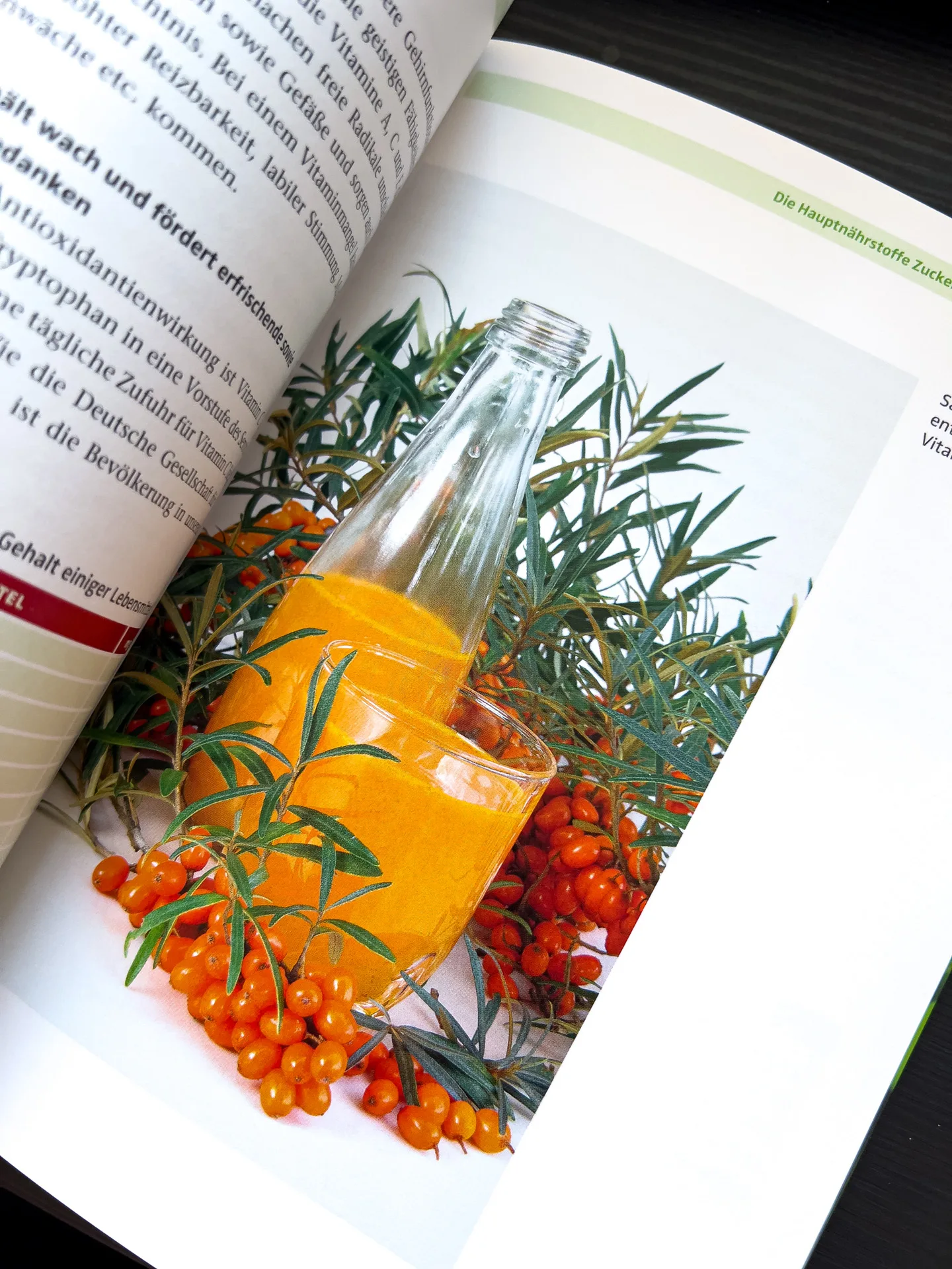 Nervennahrung: Das richtige Essen für starke Nerven und ein gutes Gedächtnis von Dr. Andrea Flemmer Nervennahrung: Das richtige Essen für starke Nerven und ein gutes Gedächtnis von Dr. Andrea Flemmer