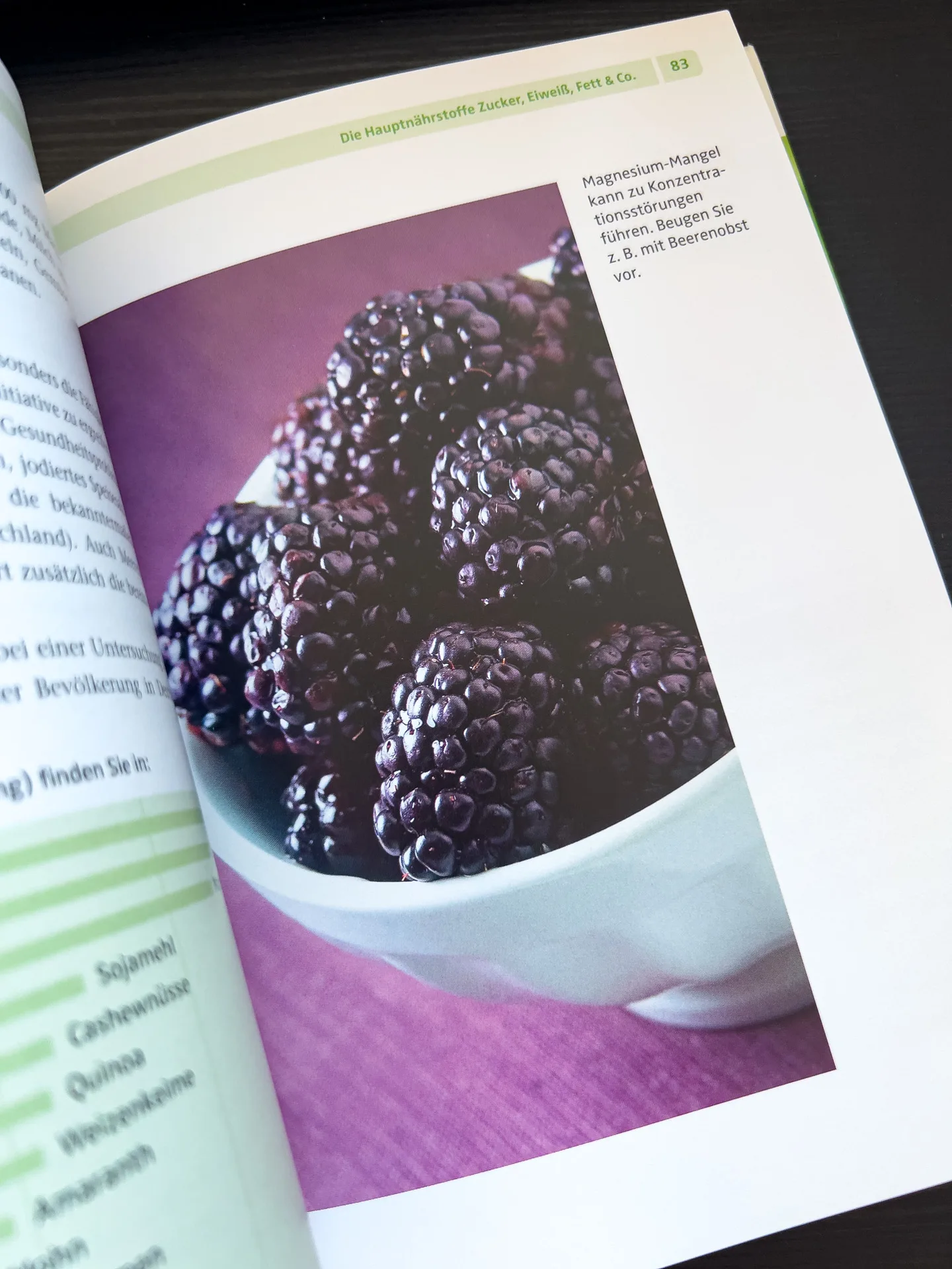 Nervennahrung: Das richtige Essen für starke Nerven und ein gutes Gedächtnis von Dr. Andrea Flemmer Nervennahrung: Das richtige Essen für starke Nerven und ein gutes Gedächtnis von Dr. Andrea Flemmer