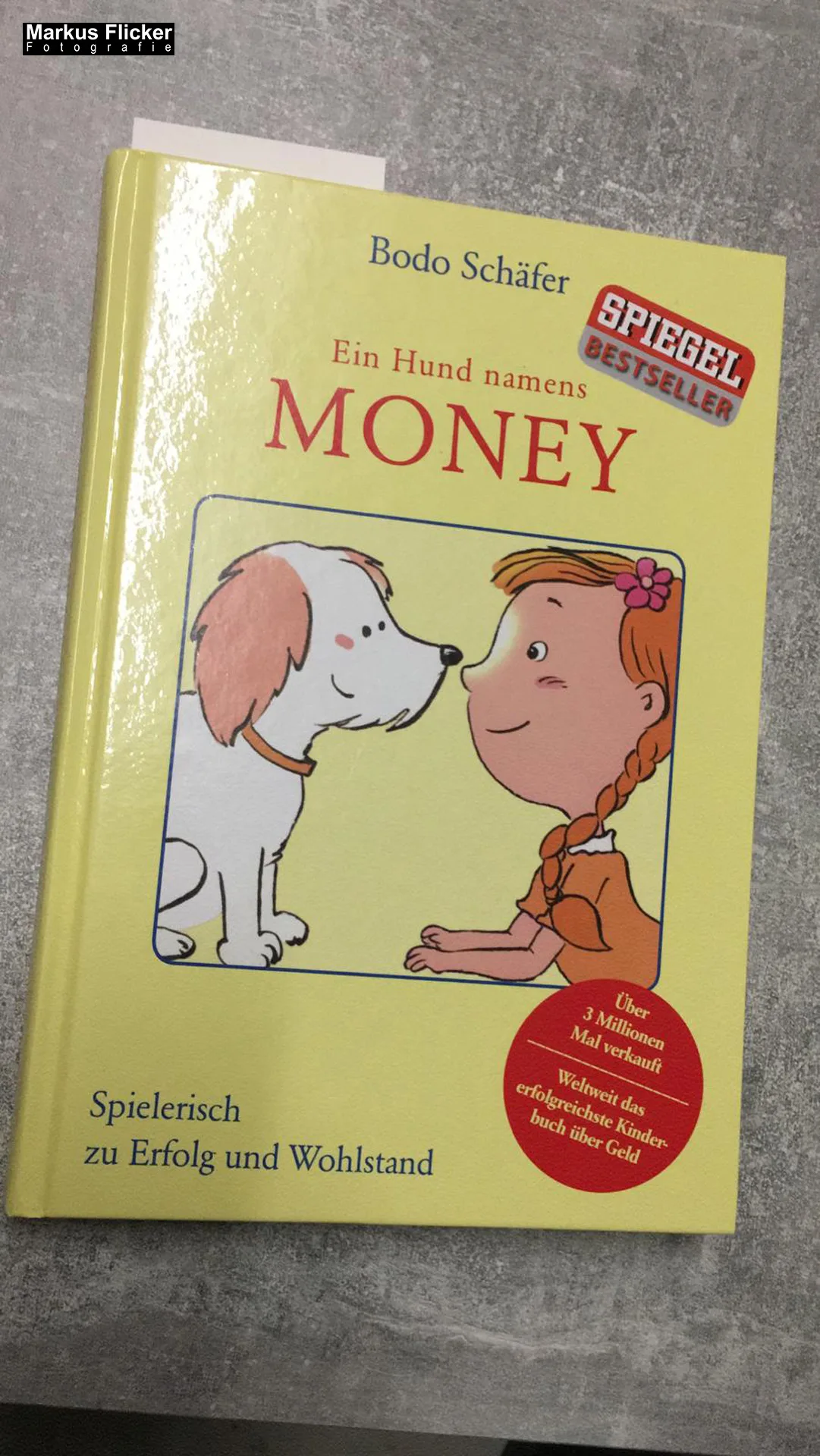 Ein Hund namens Money. Spielerisch zu Erfolg und Wohlstand von Bodo Schäfer