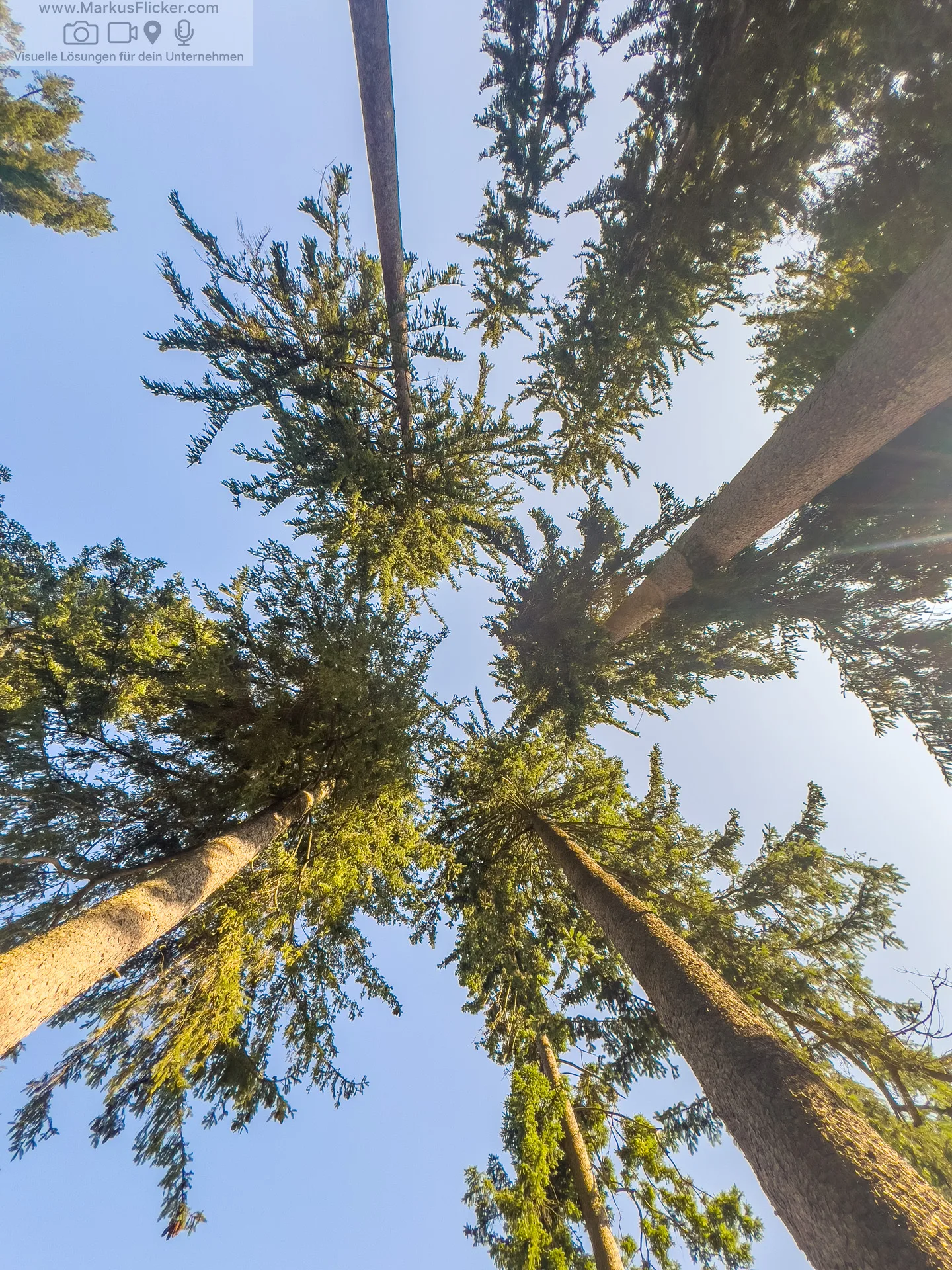 Bewusstes Fotografieren in der Natur für DIY-Fotoprojekte inkl. 37 ausführliche Tipps und Tricks