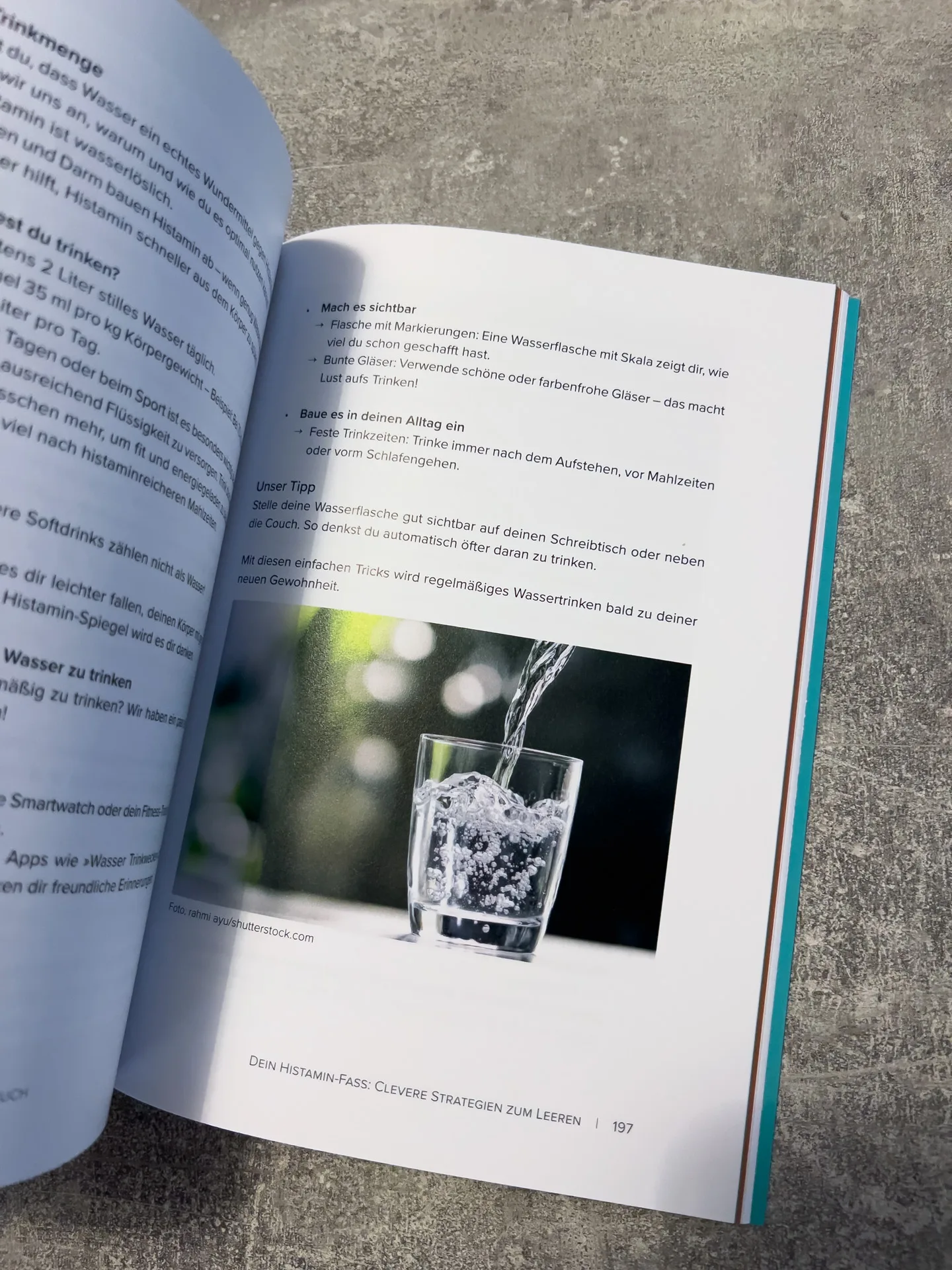 Der Histamin-Irrtum: Weg von Radikaldiäten und Verbotslisten - die Formel für ein gesundes Leben MIT Histamin von von Kyra Kauffmann und Sascha Kauffmann Der Histamin-Irrtum: Weg von Radikaldiäten und Verbotslisten - die Formel für ein gesundes Leben MIT Histamin von von Kyra Kauffmann und Sascha Kauffmann