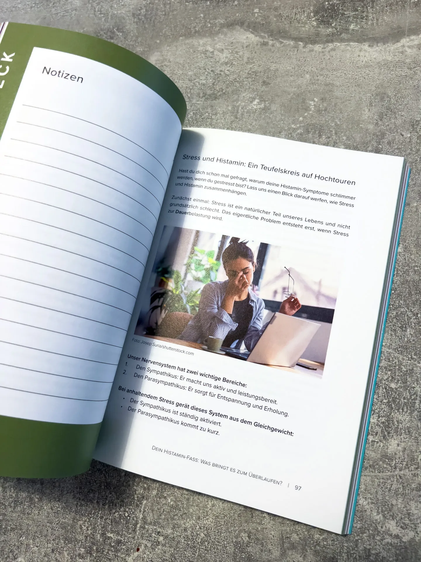 Der Histamin-Irrtum: Weg von Radikaldiäten und Verbotslisten - die Formel für ein gesundes Leben MIT Histamin von von Kyra Kauffmann und Sascha Kauffmann Der Histamin-Irrtum: Weg von Radikaldiäten und Verbotslisten - die Formel für ein gesundes Leben MIT Histamin von von Kyra Kauffmann und Sascha Kauffmann