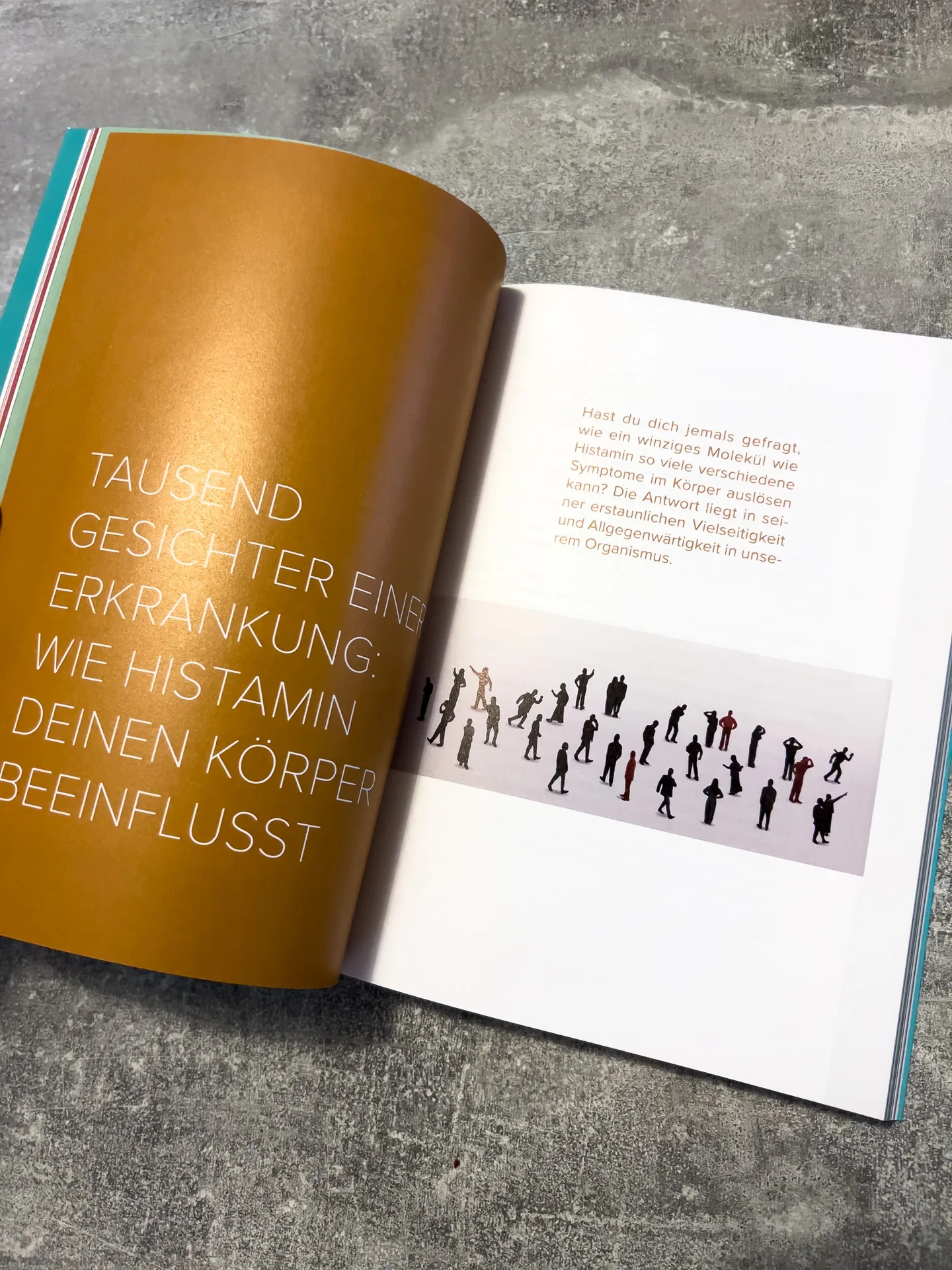 Der Histamin-Irrtum: Weg von Radikaldiäten und Verbotslisten - die Formel für ein gesundes Leben MIT Histamin von von Kyra Kauffmann und Sascha Kauffmann Der Histamin-Irrtum: Weg von Radikaldiäten und Verbotslisten - die Formel für ein gesundes Leben MIT Histamin von von Kyra Kauffmann und Sascha Kauffmann