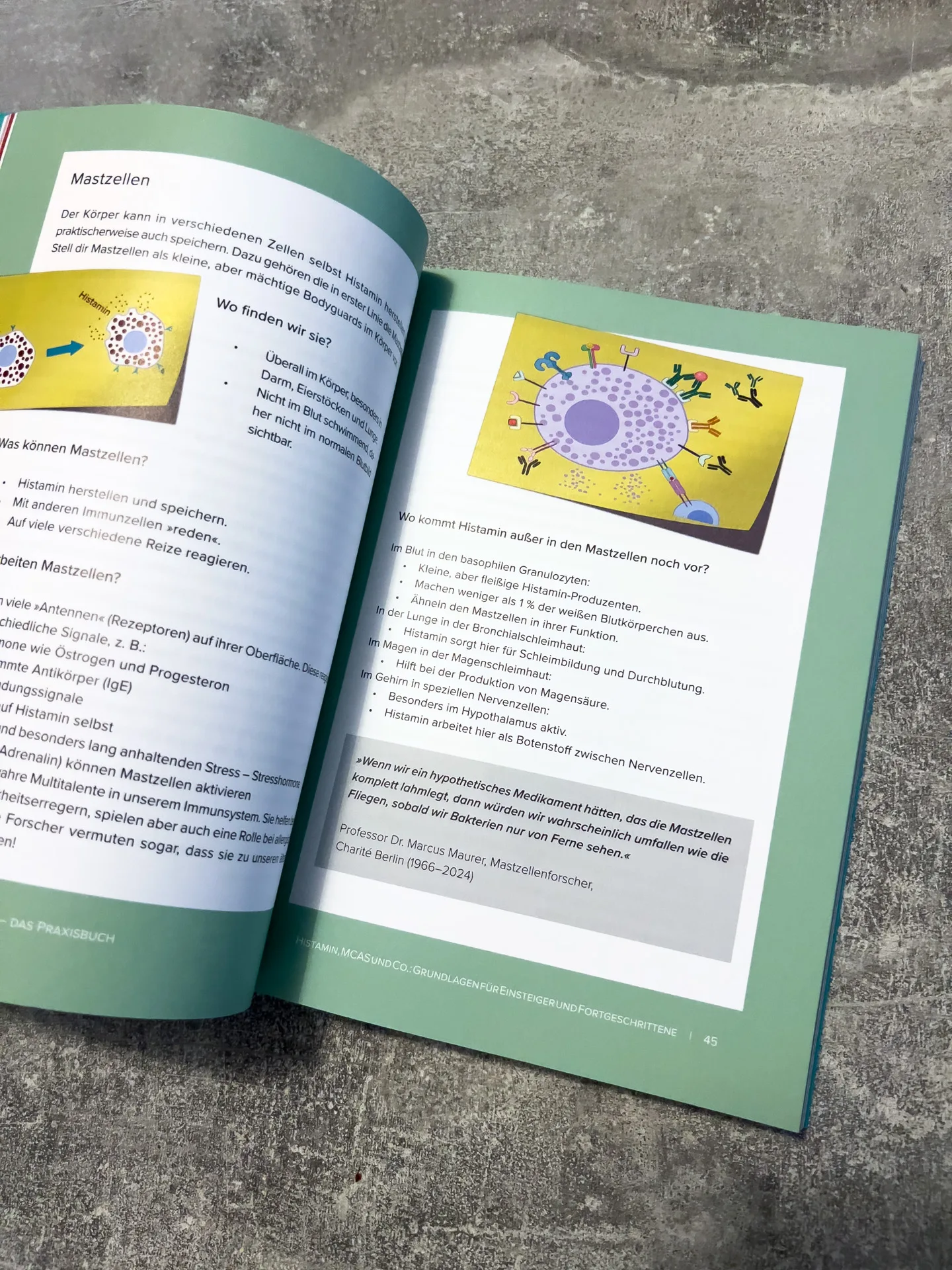 Der Histamin-Irrtum: Weg von Radikaldiäten und Verbotslisten - die Formel für ein gesundes Leben MIT Histamin von von Kyra Kauffmann und Sascha Kauffmann Der Histamin-Irrtum: Weg von Radikaldiäten und Verbotslisten - die Formel für ein gesundes Leben MIT Histamin von von Kyra Kauffmann und Sascha Kauffmann