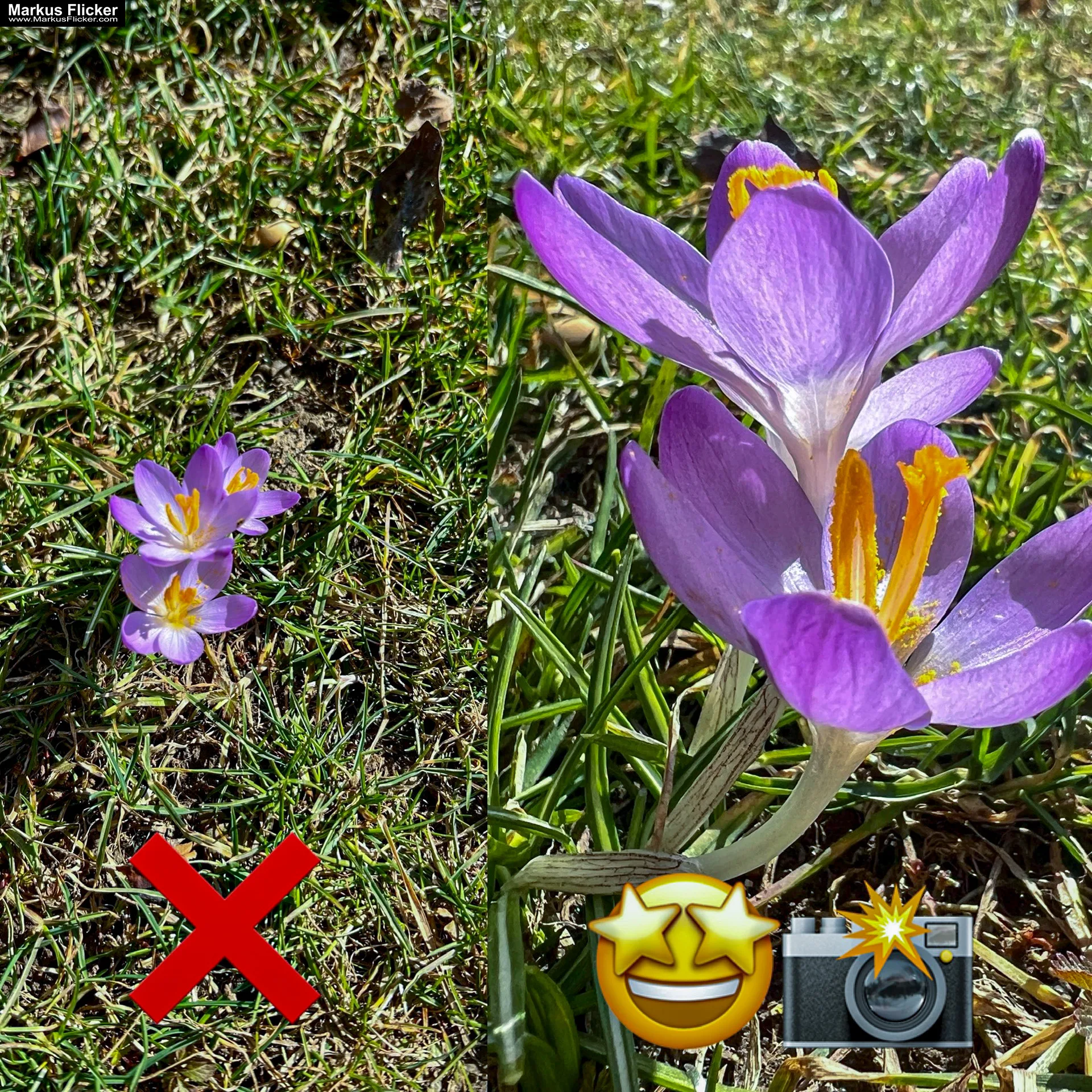 Checklisten für Smartphone-Fotografie auf Social Media: Vorlagen für Shooting- und Bearbeitungsabläufe. Smartphone-Fotografie für Social Media: Ein Leitfaden für Perfekte Bilder