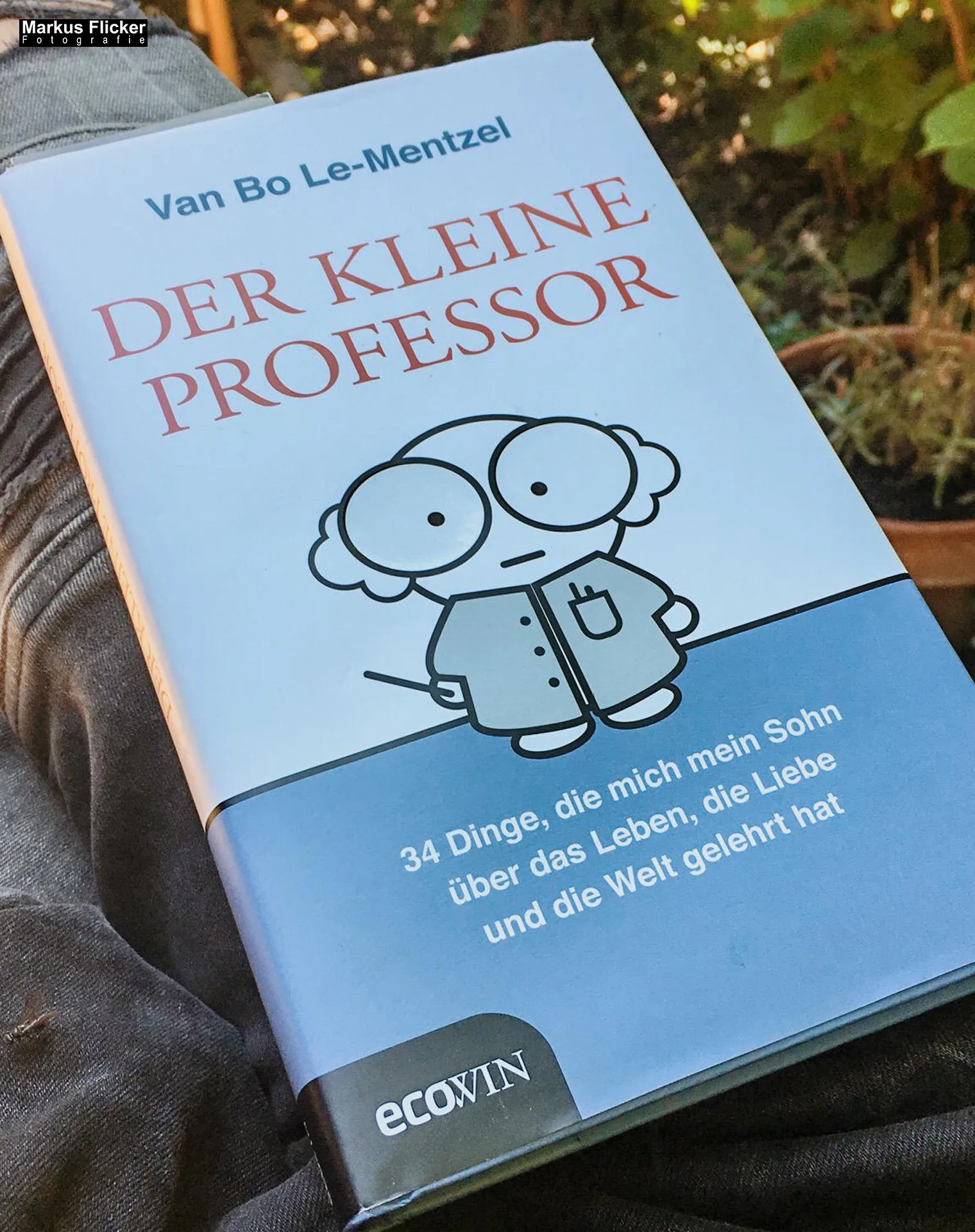 Der Kleine Professor: 34 Dinge, die mich mein Sohn über das Leben, die Liebe und die Welt gelehrt hat von Van Bo Le-Mentzel Der Kleine Professor: 34 Dinge, die mich mein Sohn über das Leben, die Liebe und die Welt gelehrt hat von Van Bo Le-Mentzel