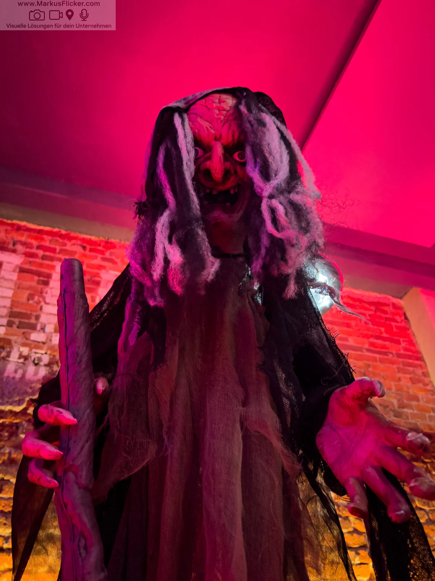 Sei Giorni 6G Halloween Party Gleisdorf Steiermark Sei Giorni 6G Halloween Party Gleisdorf Steiermark