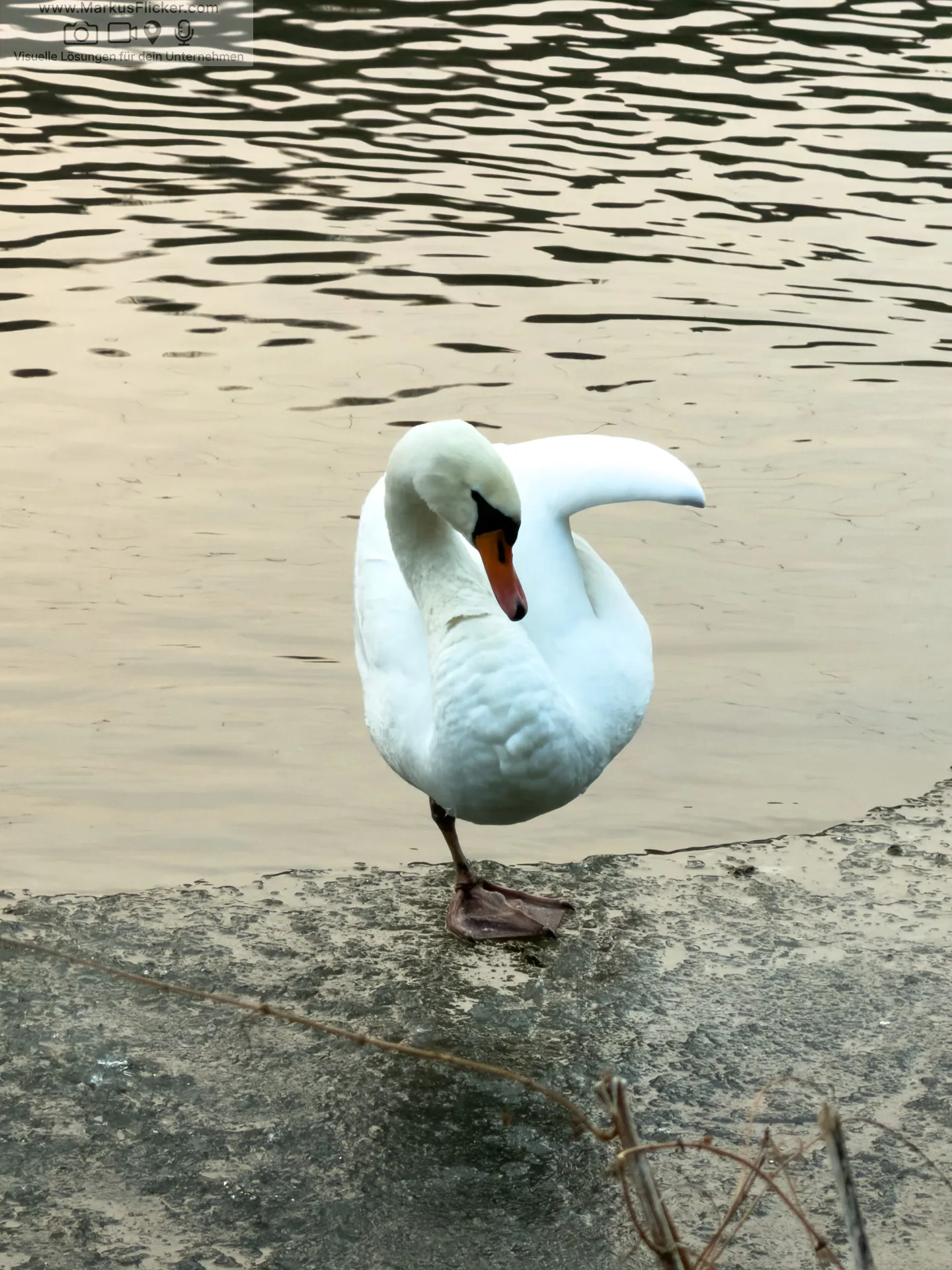 Eis Trifft Wasser – Winterfotografie mit dem Smartphone an der Gliederwehr in Gleisdorf Eis Trifft Wasser – Winterfotografie mit dem Smartphone an der Gliederwehr in Gleisdorf