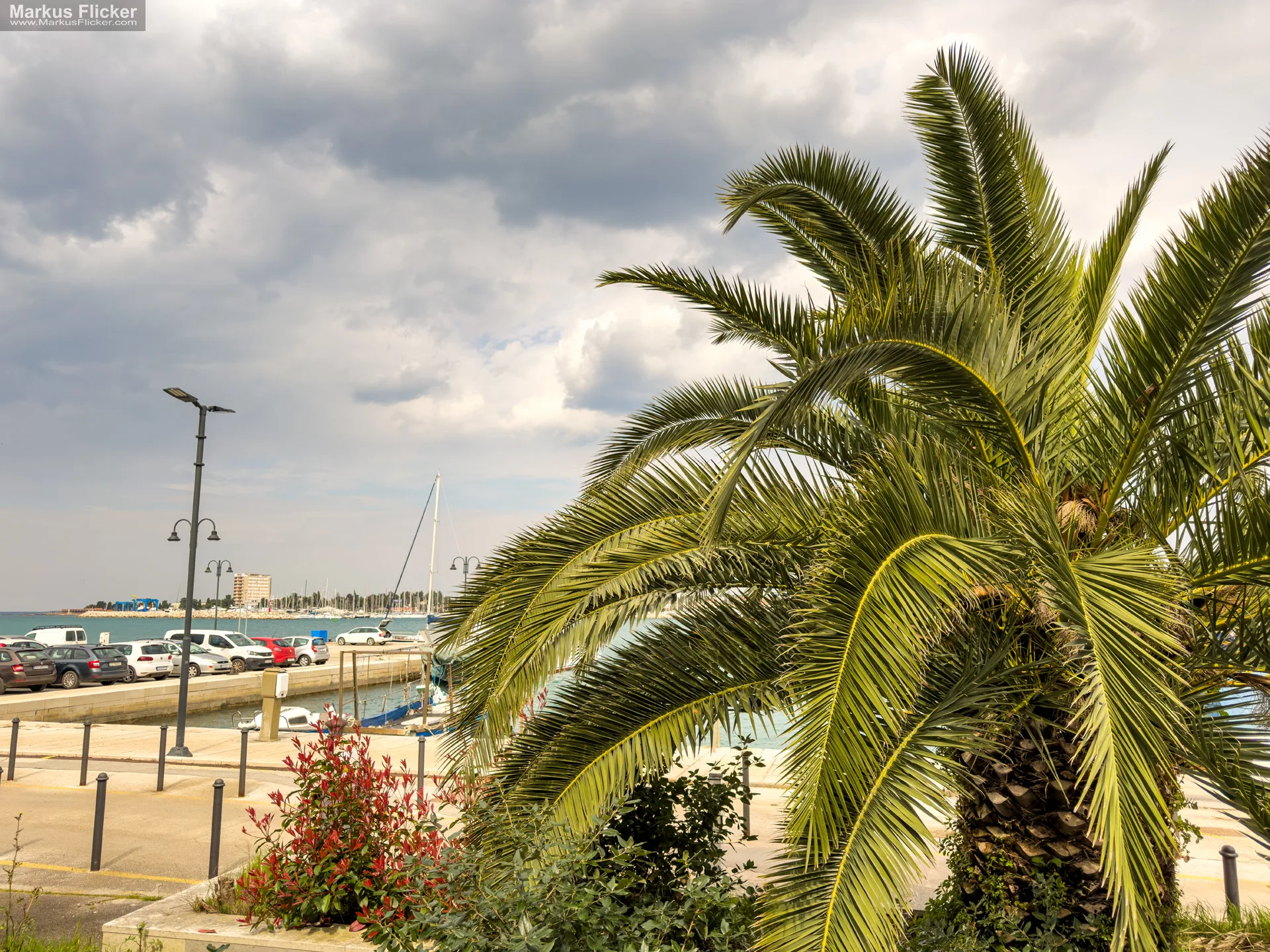 Umag in Kroatien an der Adria: Warum dich diese charmante Küstenstadt sofort in Urlaubsstimmung versetzt